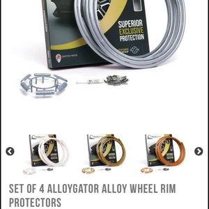 Alloygator Wheel Rim Protectors-Set of 4-silver